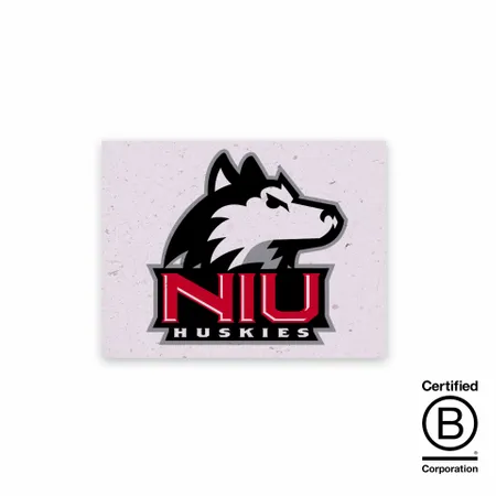 Seed Paper Panel Cards - Bottle Openers Now