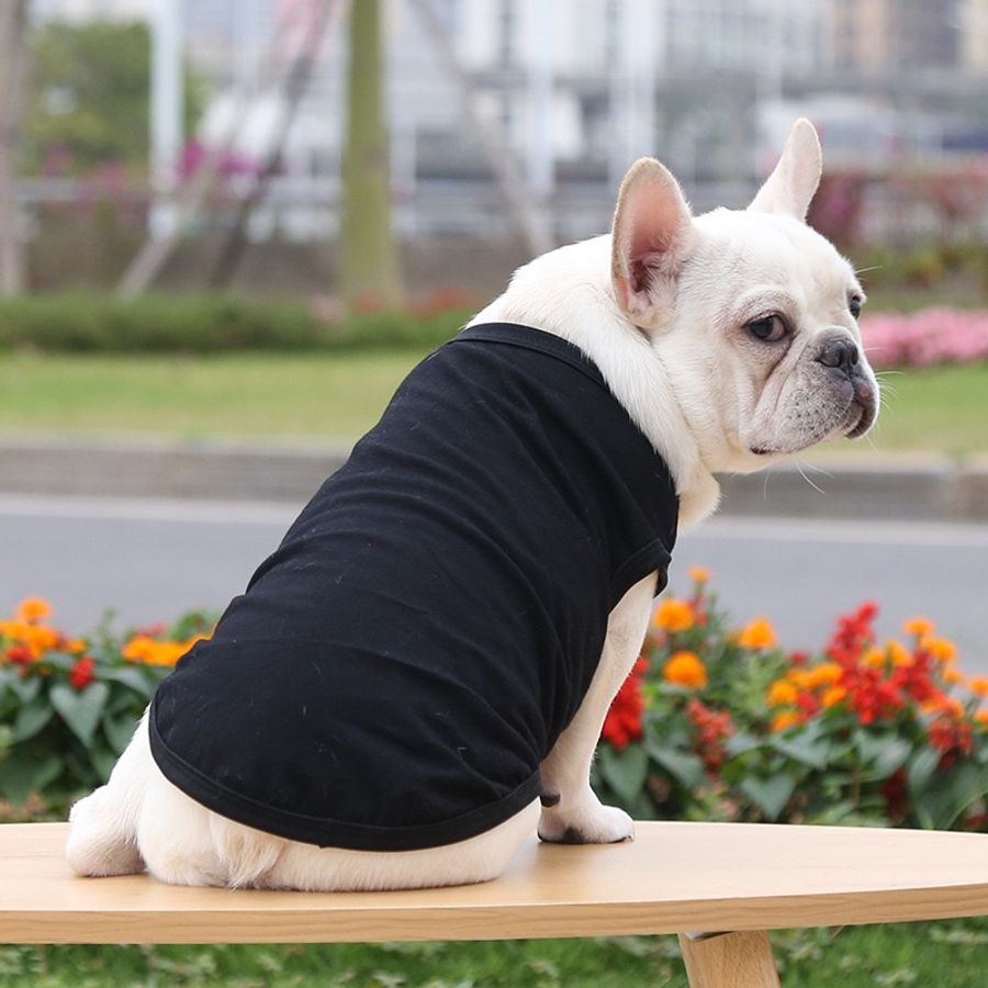 Pet Tank Shirts - Bottle Openers Now