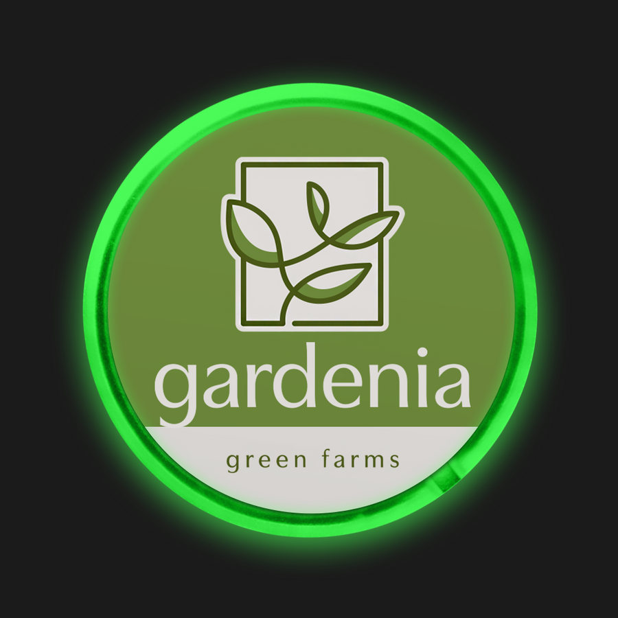 Light Button Pins - Bottle Openers Now